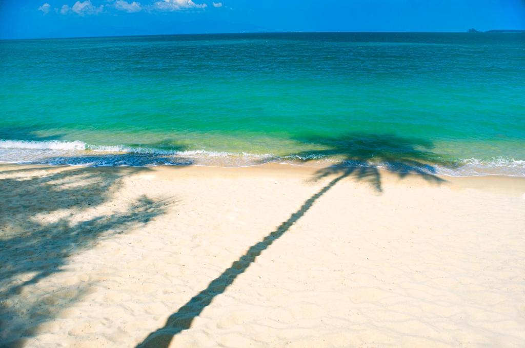 דבליו קוסמוי (W Koh Samui)