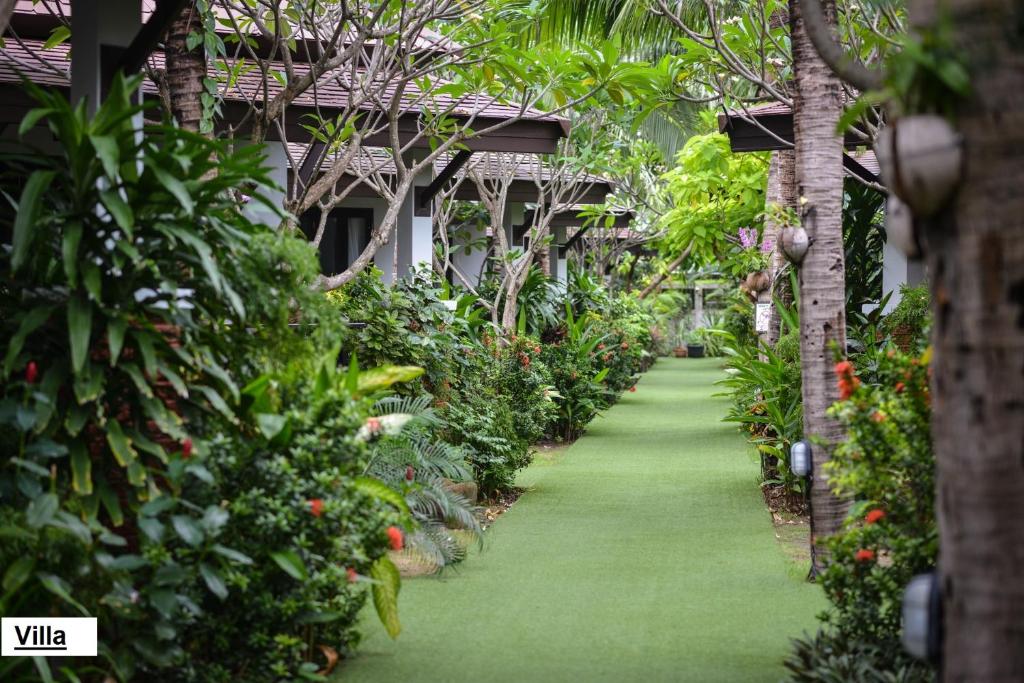 פנגן ביישור ריזורט - (Phangan Bayshore Resort)