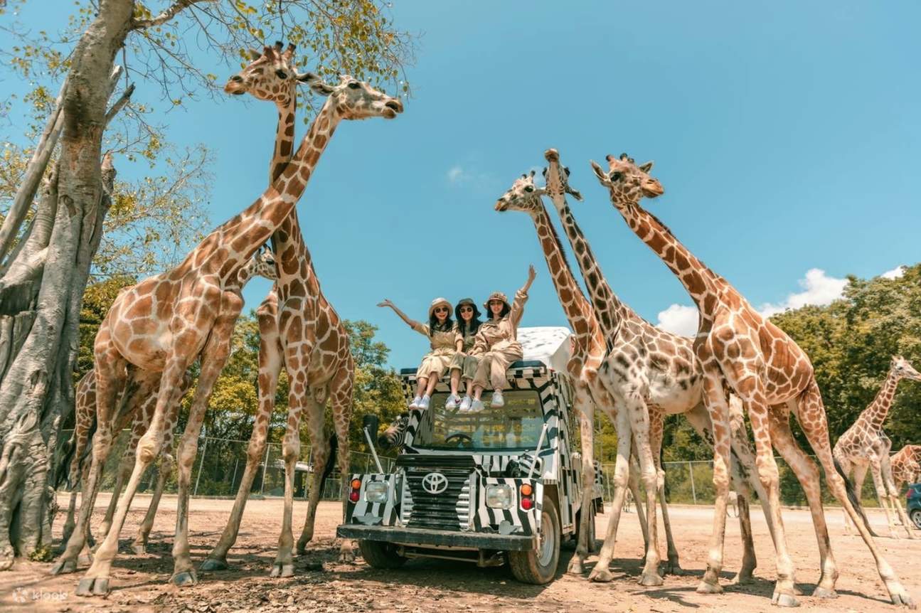 ספארי פארק קנצ'נבורי (Safari Park Kanchanaburi)