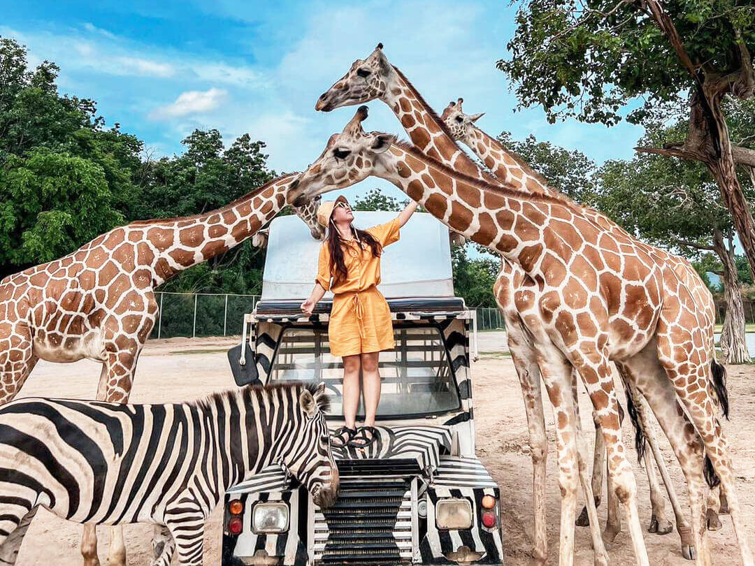 ספארי פארק קנצ'נבורי (Safari Park Kanchanaburi)