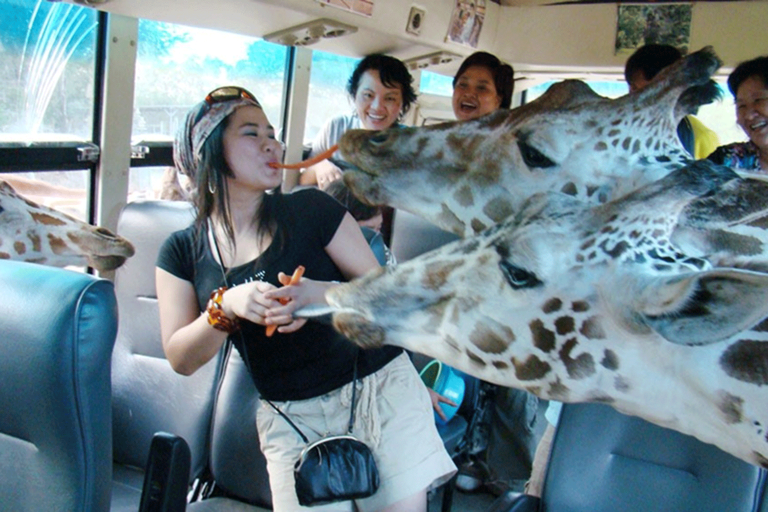 ספארי פארק קנצ'נבורי (Safari Park Kanchanaburi)