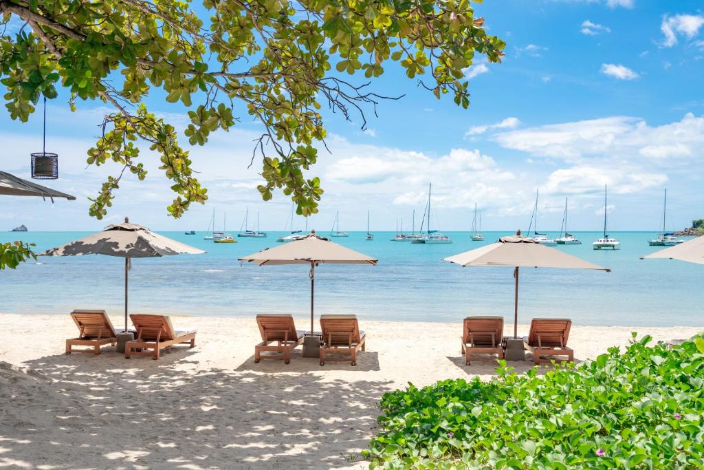 סאלה סאמוי צ’אונג מון (SALA Samui Choengmon Beach)